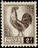 Gallic Cock 2 Fr dark brown (esimerkkikuva)