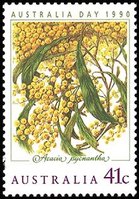 Golden wattle (esimerkkikuva)