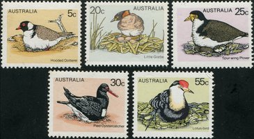 Australian birds (5) (esimerkkikuva)
