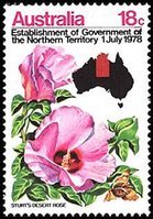 Sturt’s Desert Rose (esimerkkikuva)