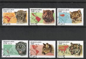 Wild Cats (6) (esimerkkikuva)