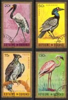 Birds (4) (esimerkkikuva)