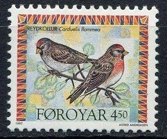 Birds 1/2 Carduelis flammea (esimerkkikuva)
