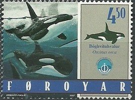 Year of the Ocean Toothed whales 2/4 (esimerkkikuva)