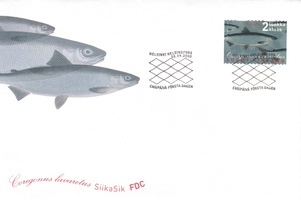 Siika FDC (esimerkkikuva)