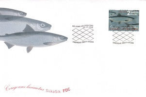 Common Whitefish FDC (sample image)