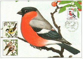 Bullfinch (1991) postcard FDC (sample image)