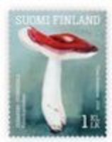 Ruokasieniä 1/5 - isohapero (Russula paludosa) (esimerkkikuva)