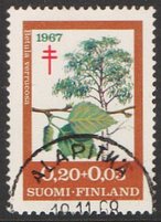 Tuberkuloosi 1967 1/3 - Rauduskoivu - Alapitkä 19.11.68 (esimerkkikuva)