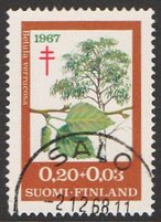 Tuberkuloosi 1967 1/3 - Rauduskoivu - Salo 2.12.68 (esimerkkikuva)