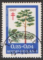 Tuberkuloosi 1967 2/3 - Mänty - Tampere 15.9.68 (esimerkkikuva)