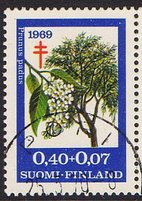 Tuberkuloosi 1969 3/3 - Tuomi - Pori 25.5.70 (esimerkkikuva)