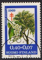 Tuberkuloosi 1969 3/3 - Tuomi - Pori 5.1.71 (esimerkkikuva)