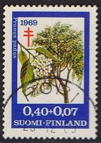 Tuberkuloosi 1969 3/3 - Tuomi - Pori 25.12.69 (esimerkkikuva)