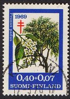 Tuberkuloosi 1969 3/3 - Tuomi - Kajaani 17.3.70 (esimerkkikuva)