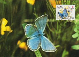 Maksimikortti Punainen Risti 1990 - perhosia - Hopeasinisiipi (esimerkkikuva)