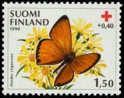Punainen Risti 1990 perhosia 1/3 - 1,50 + 0,40mk Loistokultasiipi (esimerkkikuva)