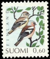 Lintuja 2/3 - Peippo (esimerkkikuva)