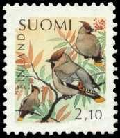 Linnut 3/3 - Tilhi (esimerkkikuva)