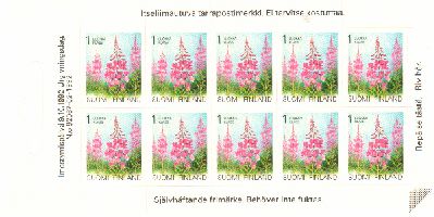 Maakuntakukat - Maitohorsma arkki (esimerkkikuva)