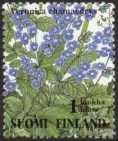 Ketokukkia 7/10 - Nurmitädyke (esimerkkikuva)