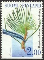 Metsä 4/4 - Metsänjalostus, puu neulasesta (esimerkkikuva)