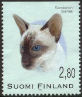 Kissoja 2/6 - Siamilainen (esimerkkikuva)