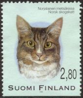 Kissoja 4/6 - Norjalainen metsäkissa (esimerkkikuva)