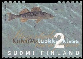 Kuha FDC (esimerkkikuva)