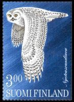 Pöllöjä 5/5 - Tunturipöllö (esimerkkikuva)