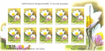 Kangasvuokko arkki (10) (esimerkkikuva)