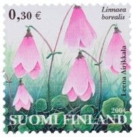 Vanamo (esimerkkikuva)