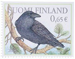 Metsän eläimiä 2/6 - Korppi (esimerkkikuva)