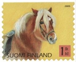 Poneja 1/4 - Islanninhevonen (esimerkkikuva)