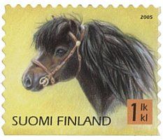 Poneja 4/4 - Shetlanninponi (esimerkkikuva)