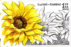 Auringonkukkia 1/2 (esimerkkikuva)