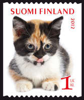 Lemmikkejä 1/6 - Eurooppalaiskissa (esimerkkikuva)