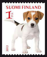 Lemmikkejä 5/6 - Jackrusselinterrieri (esimerkkikuva)