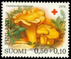 Red Cross 1974 Mushrooms 2/3 - 0,50 + 0,10mk Chanterelle (sample image)