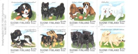 Koiranpentuja vihkolehti leimattuna (esimerkkikuva)