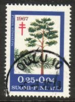 Tuberkuloosi 1967 2/3 - Mänty - Oulu 10 6.3.76 19 (esimerkkikuva)