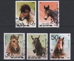 Horse Breeds (5) (esimerkkikuva)