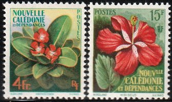 Flowers (2) (esimerkkikuva)