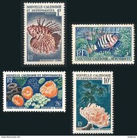 Sea fauna (4) (esimerkkikuva)