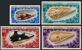 Sea snails I (4) (esimerkkikuva)