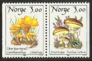 Mushrooms (1x2 pair) (esimerkkikuva)