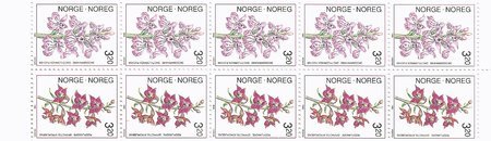 Orchids 1990 (booklet) (esimerkkikuva)