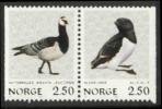 Birds (1x2 pair) (esimerkkikuva)