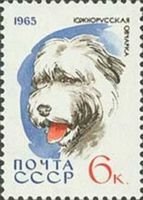 Dogs - 6k South-Russian Sheepdog (esimerkkikuva)