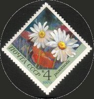 Flowers - 4k Camomile (esimerkkikuva)